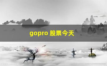 “gopro